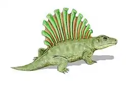 Platyhystrix rugosus生態復元想像図
