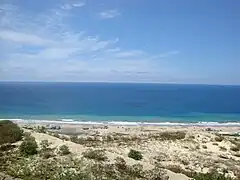 マンタ海岸