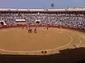 闘牛