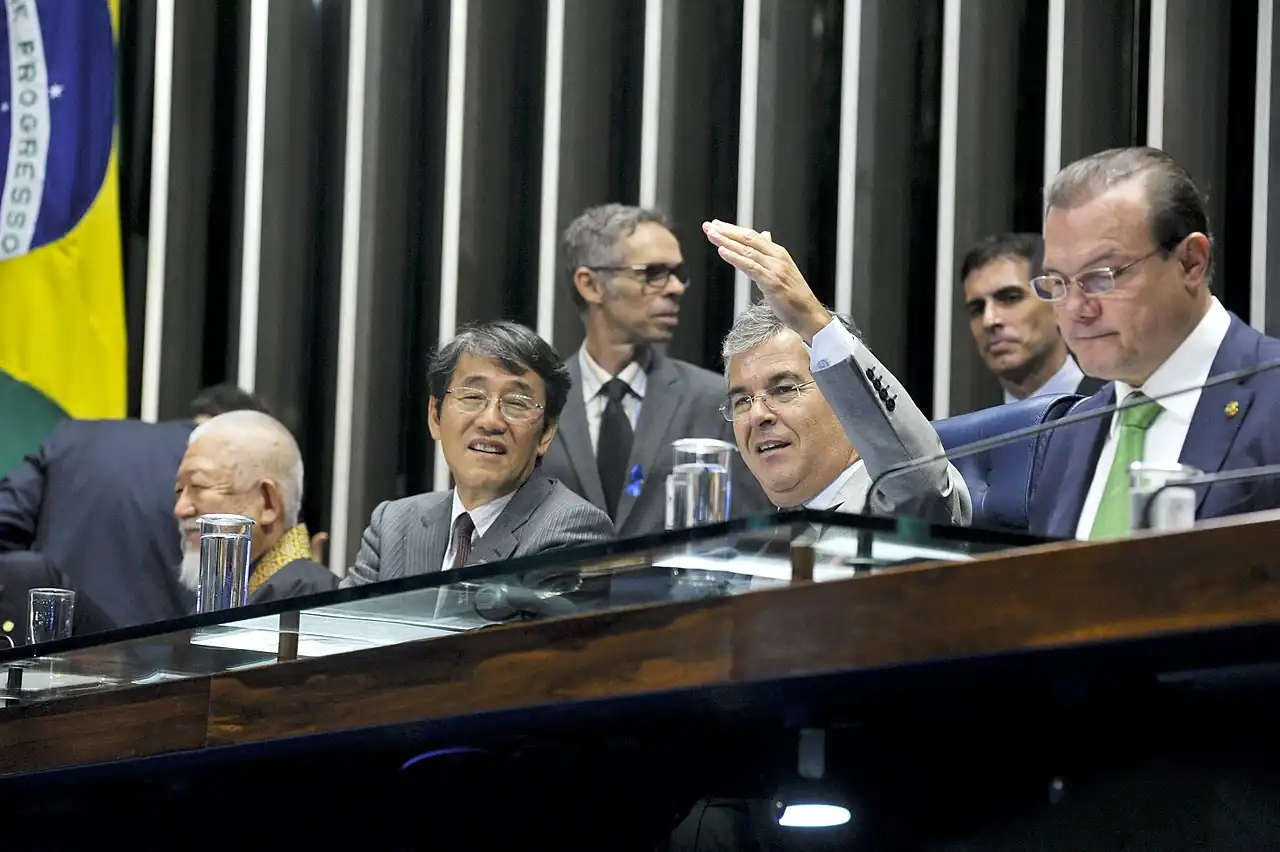 2015年11月