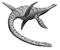 首長竜類プレシオサウルス