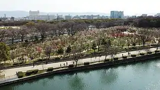 大阪城梅林