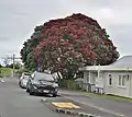 街中に見られるもの。