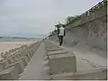 ポーランドの防潮堤