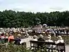 像のもとでのコンサート
