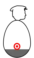 この人形は中がほとんど空洞で底の部分におもりがあるため（的で示した）重心が低くなっている。