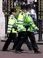 ロンドン警察(2005年)