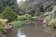 A pond at the Kubota Garden