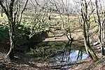 山上部にはドリーネに水が溜まった小さな池が点在する