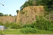 ポンモイ柱状節理(2010年6月)