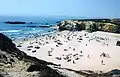 ポルト・コヴォの海水浴場