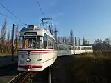 109 + 214 + 2181965年、1969年製の2軸車(ゴータカー)(2011年撮影)