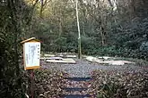 坂網練習場
