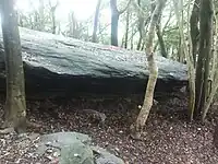 枯松神社と祈りの岩