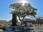 川口神社境内忠魂碑・水神碑・エノキの大木が立っている