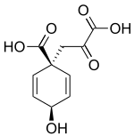 プレフェン酸