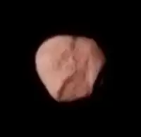 プロテウスの唯一のカラー画像、ピンクがかった赤色を呈している