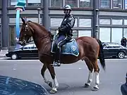 街頭警備を行うプロビデンス市警察の騎馬警官