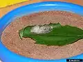 繭