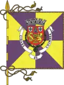 Bandeira de コインブラ
