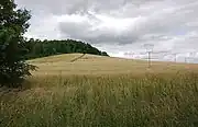 Ptačí hrádek