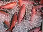 鮮魚店で販売されるグルクン（石垣島）