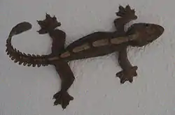 クールトビヤモリ