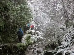 パックス・グレン渓谷の冬