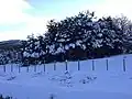 プンタ・アレナスのスキーセンター付近