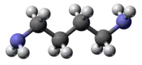 {{{画像alt1}}}