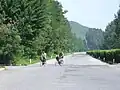 高速道路上を走行する自転車