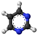 Pyrimidine molecule