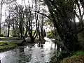 ア・パストリーサを流れるミーニョ川