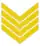 Insignia