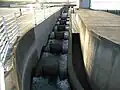 魚道