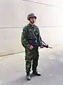 迷彩服姿の陸軍兵士（2011年11月）