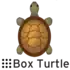 Box Turtle