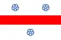 ミエルクレア=チュクの市旗
