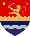 ティミシュ県(ルーマニア)の旗