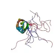 ASF/SF2の2番目のRRMドメインのNMR構造 PDB: 2O3D