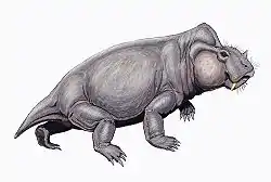 ラビドサウルス