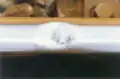 レールスクワット