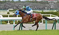 第66回優勝馬レインボーライン（鞍上：岩田康誠）