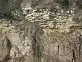 ドイツのドレスデン近郊に所在する無整合の露頭。