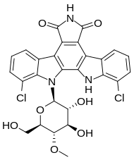 レベッカマイシン