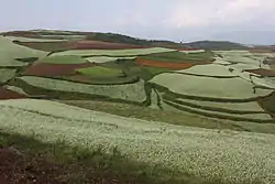 東川区の赤土地形