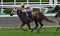 2017年優勝馬レーヌミノル