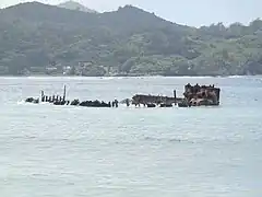 濱江丸の残骸