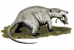 レペノマムス属 Repenomamus