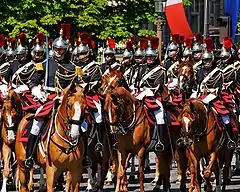儀丈用途としての長靴。フランス共和国親衛隊